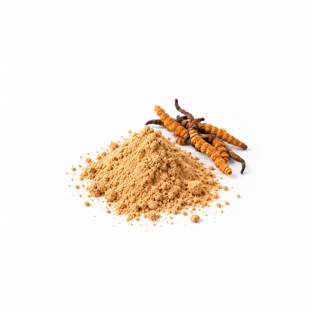 Cordyceps en polvo a granel junto a hongos enteros, materia prima