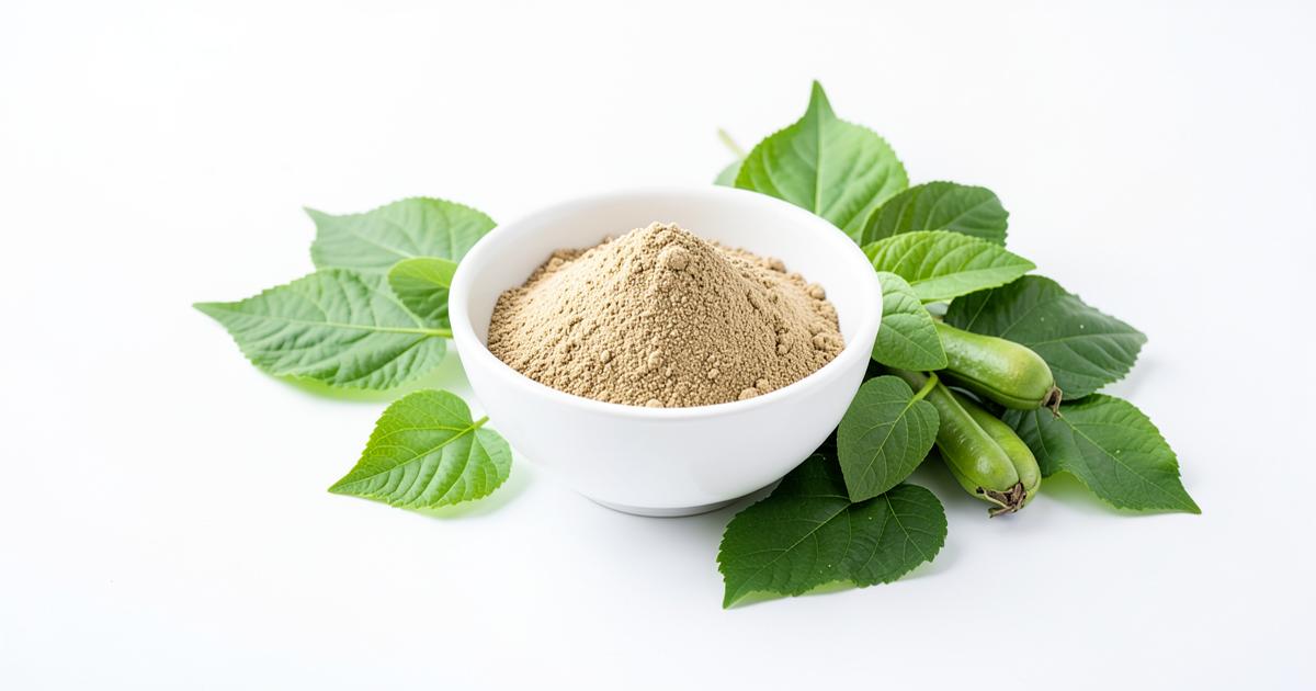 Moringa en polvo con hojas frescas, guía sobre para qué sirve la moringa
